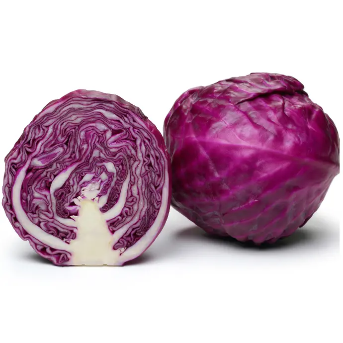 Cabbage (Red)