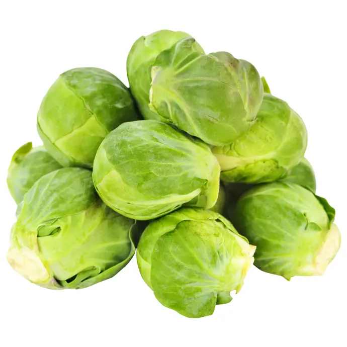 Brussel Sprout