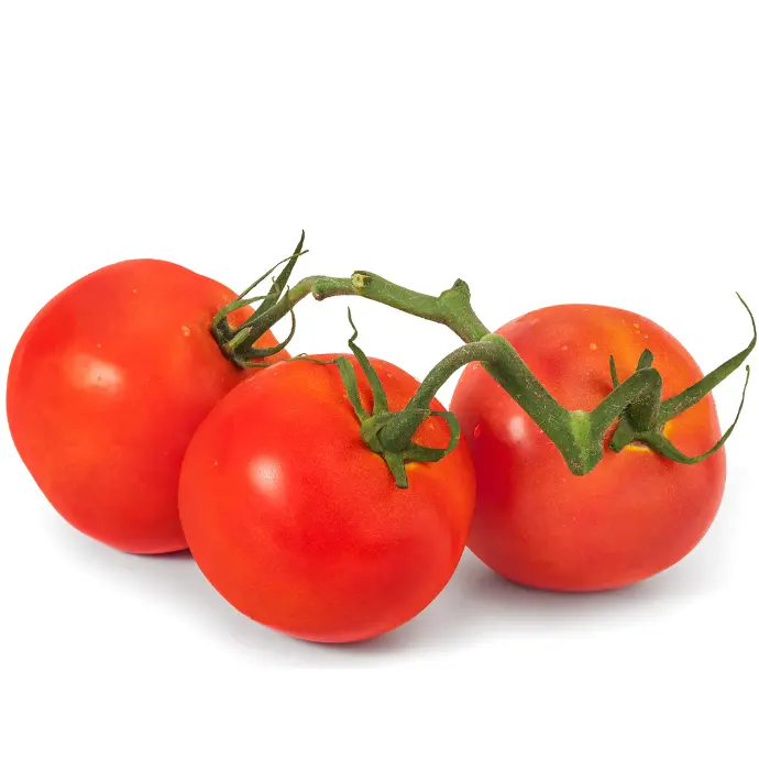 Tomato 