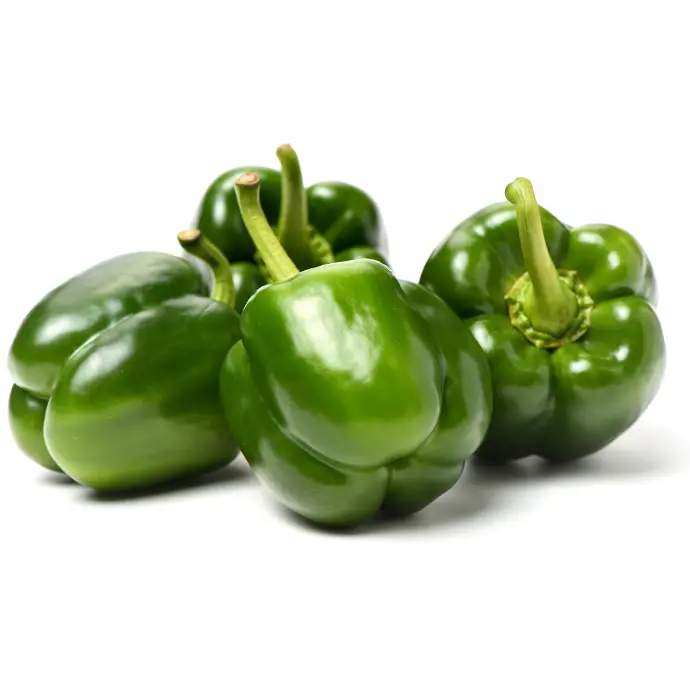 Capsicum, Green 