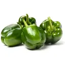 Capsicum, Green 