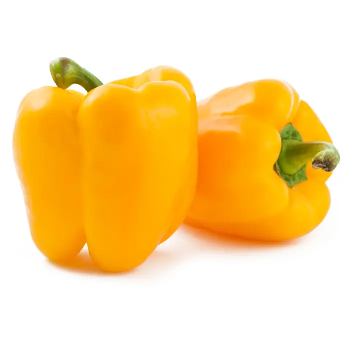 Capsicum, Yellow 