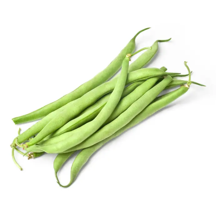 French Bean 