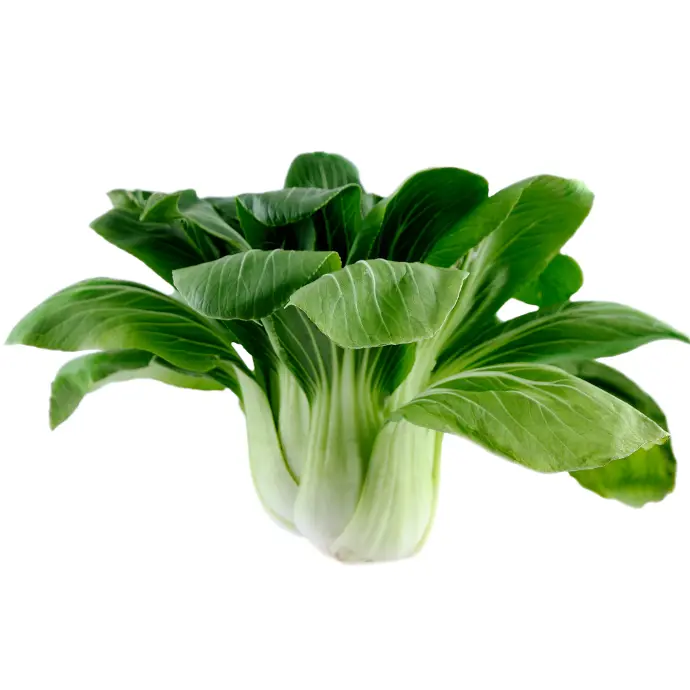 Pakchoi 