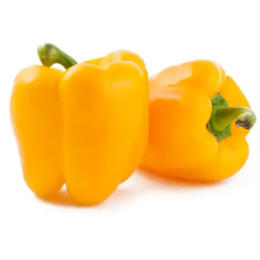 [VE-WAU015] Capsicum, Yellow 